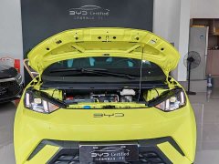 BYD Seagull 2023 Freedom Edition - ფოტო 3