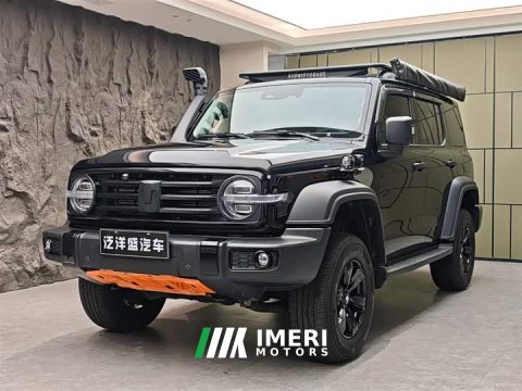 2022 Tank 300 2021 Off-Road Edition 2.0T Conqueror - ავტომობილი ჩინეთიდან