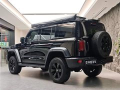 Tank 300 2021 Off-Road Edition 2.0T Conqueror - ფოტო 19
