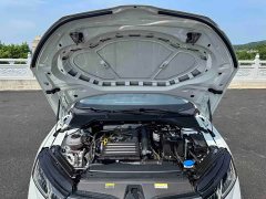 Skoda Octavia PRO TSI280 Prestige - ფოტო 20