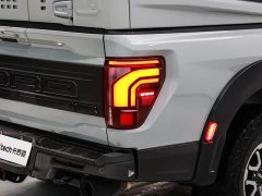 Ford F-150 Raptor 3.5T Raptor - ფოტო 10