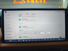 Xpeng G9 2022 702 Max - ფოტო 18