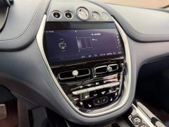 Aston Martin DBX 2020 4.0T V8 1913 Launch Limited Edition - ფოტო 6