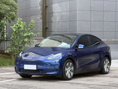 Tesla Model Y Standard Range RWD - ფოტო 1