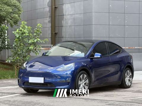 2021 Tesla Model Y Standard Range RWD - ავტომობილი ჩინეთიდან