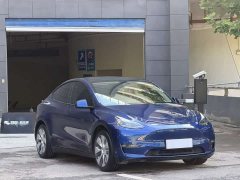 Tesla Model Y Standard Range RWD - ფოტო 3