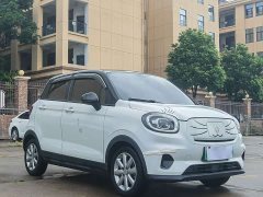 Leapmotor T03 Gleaming Crystal Edition - ფოტო 3