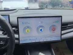 BYD Seal 650km AWD Performance Edition - ფოტო 8