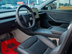 Tesla Model 3 Long Range All-Wheel Drive - ფოტო 9