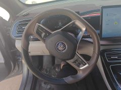 BYD Qin Plus Champion Edition DM-i 120KM Exceed - ფოტო 12
