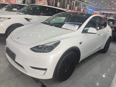 Tesla Model Y Rear-Wheel Drive - ფოტო 1