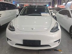 Tesla Model Y Rear-Wheel Drive - ფოტო 2