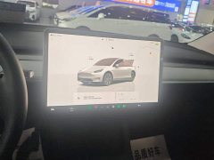 Tesla Model Y Rear-Wheel Drive - ფოტო 8