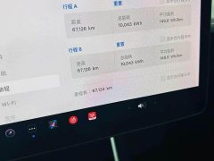 Tesla Model 3 2020 Facelift Standard Range RWD Upgrade - ფოტო 8