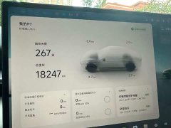 XPeng P7 702 Long Range Ultra - ფოტო 6
