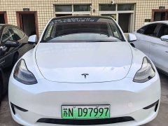 Tesla Model Y Long Range All-Wheel Drive - ფოტო 1