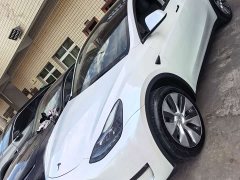 Tesla Model Y Long Range All-Wheel Drive - ფოტო 2