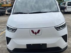 Wuling Yangguang 440km Passenger Vehicle Comfort Edition 6-Seater - ფოტო 2