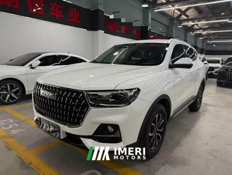 2024 Haval H6 2023 National Trend Edition 1.5T Automatic Urban Version - ავტომობილი ჩინეთიდან