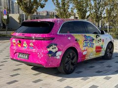 Li Auto L6 Pro - ფოტო 9