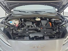 BYD Song Plus New Energy DM-i 112KM Luxury Edition - ფოტო 10