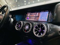 Tank 300 Off-Road Edition 2.0T Conqueror - ფოტო 10