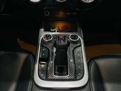 Tank 300 Off-Road Edition 2.0T Conqueror - ფოტო 9