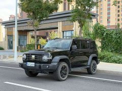 Tank 300 2025 2.0T Gasoline Challenger - ფოტო 1