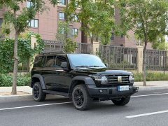 Tank 300 2025 2.0T Gasoline Challenger - ფოტო 3