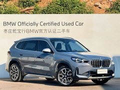 BMW X1 sDrive25Li X Design Package - ფოტო 3