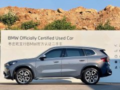 BMW X1 sDrive25Li X Design Package - ფოტო 4