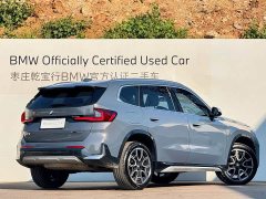 BMW X1 sDrive25Li X Design Package - ფოტო 7