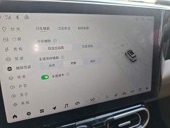 Leapmotor Leapo C11 Pure Electric 500 Comfort Edition - ფოტო 20