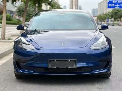 Tesla Model 3 Standard Range RWD Upgrade - ფოტო 2