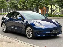 Tesla Model 3 Standard Range RWD Upgrade - ფოტო 3