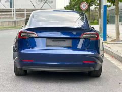 Tesla Model 3 Standard Range RWD Upgrade - ფოტო 8