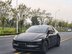 Tesla Model Y Rear-Wheel Drive - ფოტო 1