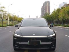 Tesla Model Y Rear-Wheel Drive - ფოტო 2