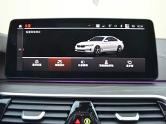 BMW 5 Series Facelift 530Li xDrive Luxury Package - ფოტო 9