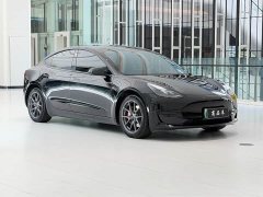 Tesla Model 3 2022 Rear-Wheel Drive - ფოტო 3
