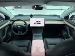Tesla Model 3 2022 Rear-Wheel Drive - ფოტო 5