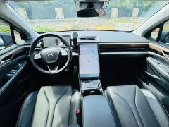 XPeng P5 500 Smart Edition - ფოტო 15