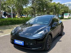 Tesla Model Y Rear-Wheel Drive - ფოტო 1