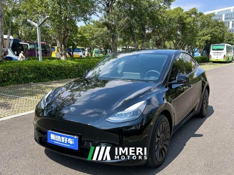 2022 Tesla Model Y Rear-Wheel Drive - ავტომობილი ჩინეთიდან