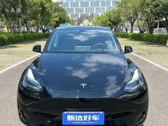 Tesla Model Y Rear-Wheel Drive - ფოტო 2