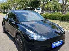 Tesla Model Y Rear-Wheel Drive - ფოტო 3