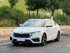 Skoda Octavia PRO TSI280 Premium Edition - ფოტო 1