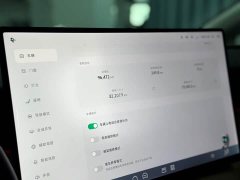Xpeng X9 610 Long Range Pro - ფოტო 7