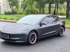 Tesla Model 3 2023 Rear-Wheel Drive - ფოტო 1