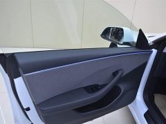 Tesla Model 3 Rear-Wheel Drive - ფოტო 12